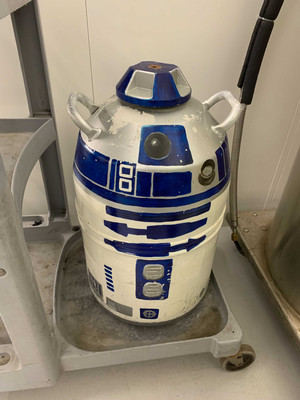 Justin Carleton 2021